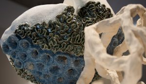 Exclusive-Interview-with-the-Talented-Ceramic-Designer-Catarina-Nunes-Vestigios-de-mar-Carnivora-IV-Açores-2017--300x174 Exclusive-Interview-with-the-Talented-Ceramic-Designer-Catarina-Nunes-Vestigios-de-mar-Carnivora-IV-Açores-2017--300x174 Exclusive Interview with the Talented Ceramic Designer Catarina Nunes - Vestigios de mar Carnivora IV Açores 2017 - Die Vorteile von Kostenlosen Spielautomaten Exclusive Interview with the Talented Ceramic Designer Catarina Nunes Vestigios de mar Carnivora IV A ores 2017 300x174